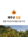 포토리뷰 이미지
