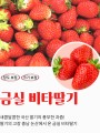 포토리뷰 이미지