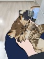 포토리뷰 이미지