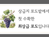 포토리뷰 이미지
