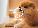 포토리뷰 이미지