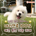 포토리뷰 이미지