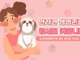 포토리뷰 이미지