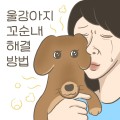 포토리뷰 이미지