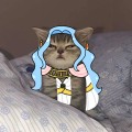 포토리뷰 이미지